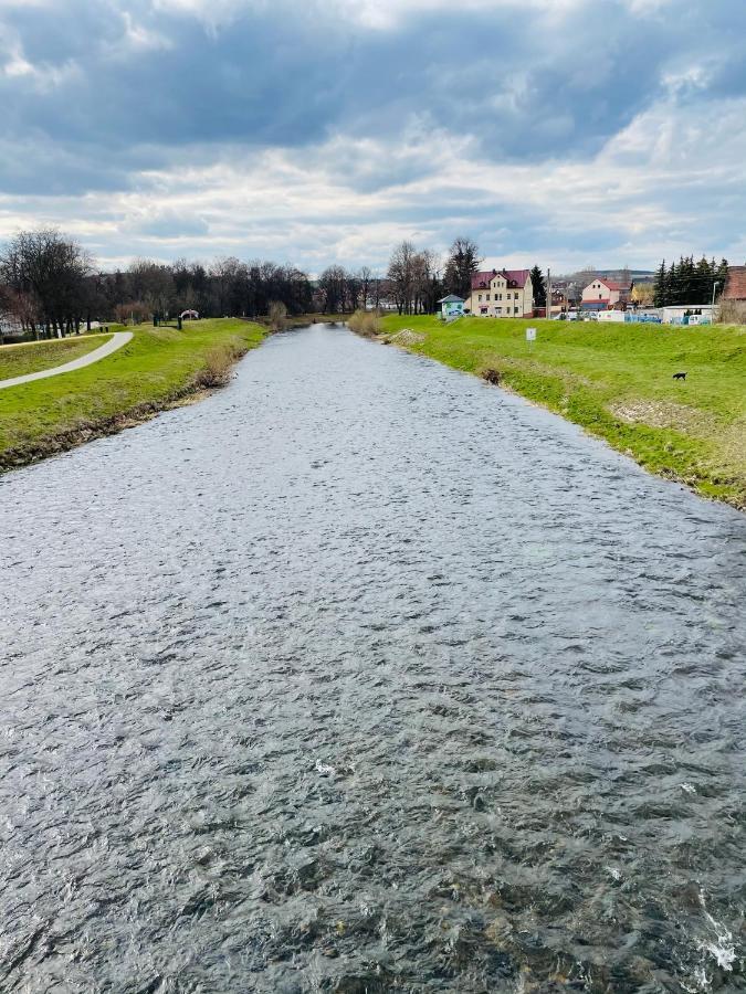 "Glueck Auf" Lichtdurchflutete Schicke Ferienwohnung In Zwickau Exteriér fotografie